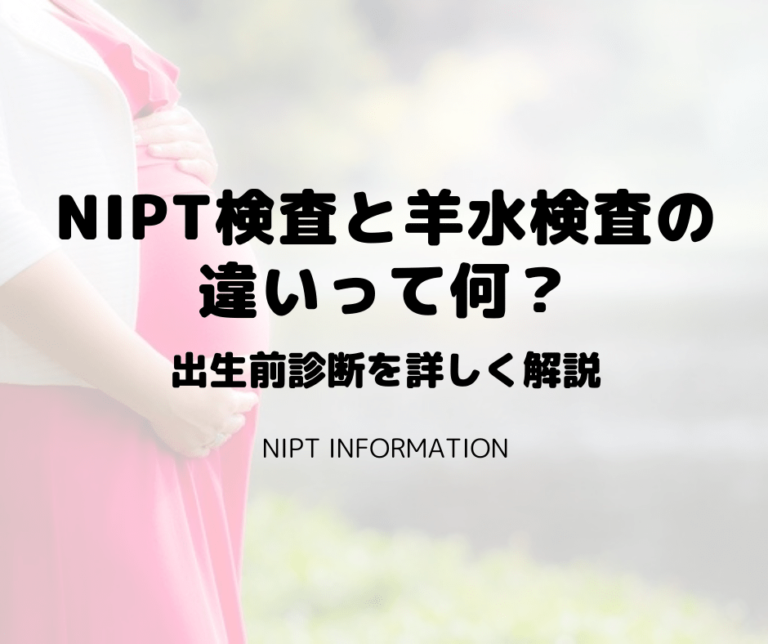 NIPT検査と羊水検査の違いって何？【出生前診断を詳しく解説】 NIPT Information