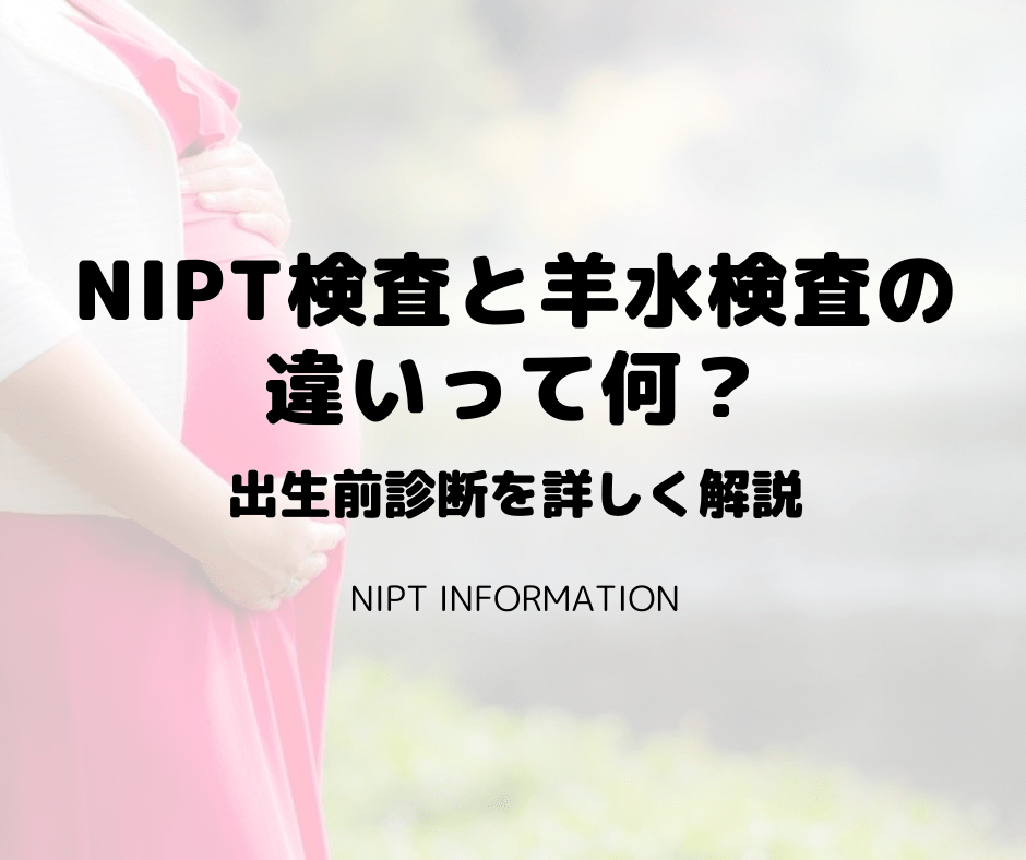 NIPT検査と羊水検査の違いって何？